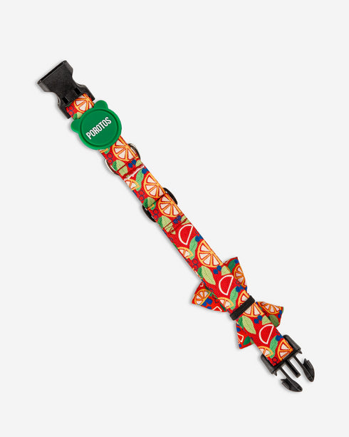 Collar con Moño Frutal